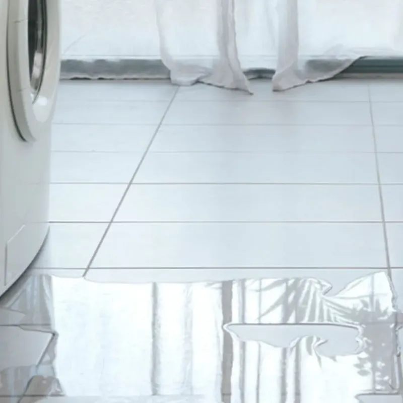 Appliance Leak Cleanup in Memphis, MI