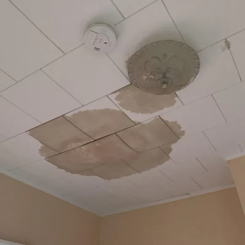 Ceiling Water Damage Repair in Memphis, MI