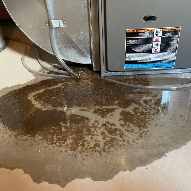 Pipe Burst and Leak Restoration in Memphis, MI