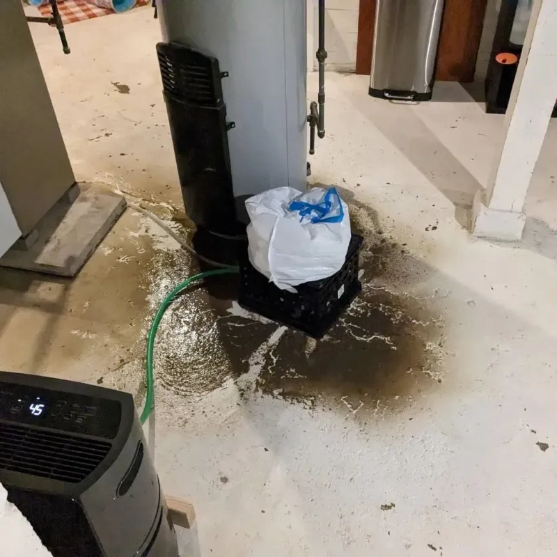 Sewage Backup Cleanup Service in Memphis, MI